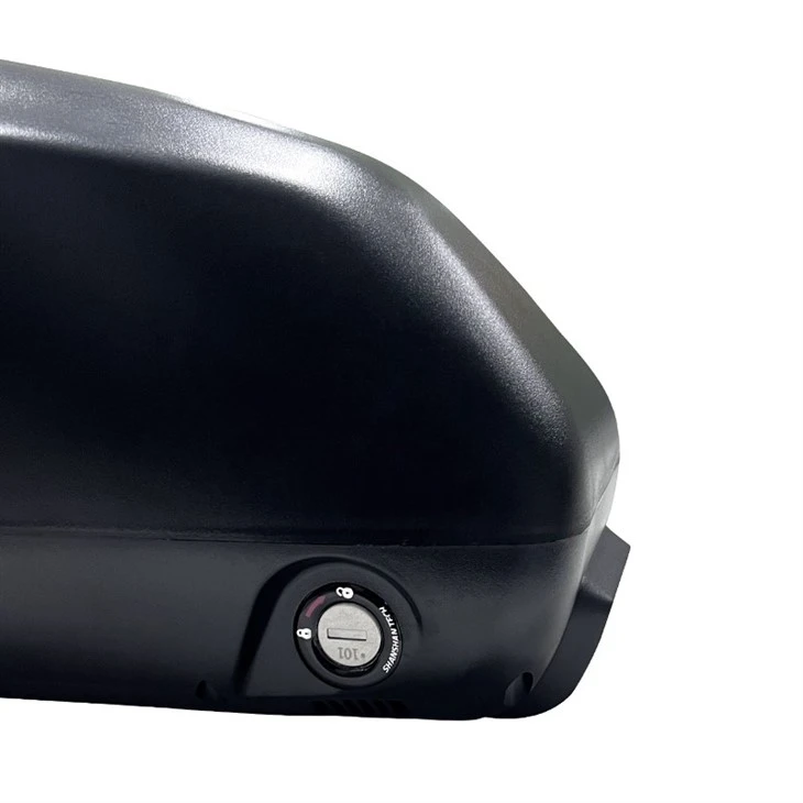 48V Lithium ion Battery
