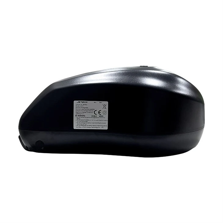 48V Lithium ion Battery